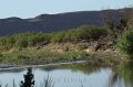 Rio Grande shallow 2011_07_16_1580